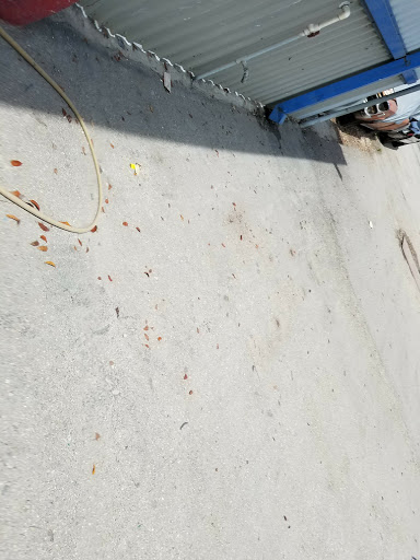 Auto Body Shop «Maaco Collision Repair & Auto Painting», reviews and photos, 4118 Fowler St, Fort Myers, FL 33901, USA