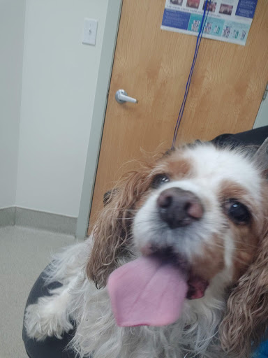 Dr. Stefanie Kreiger image