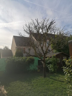 Jeanroy Elagage - Elagueur Jardinier Paysagiste sur l'Essonne (91) à Linas