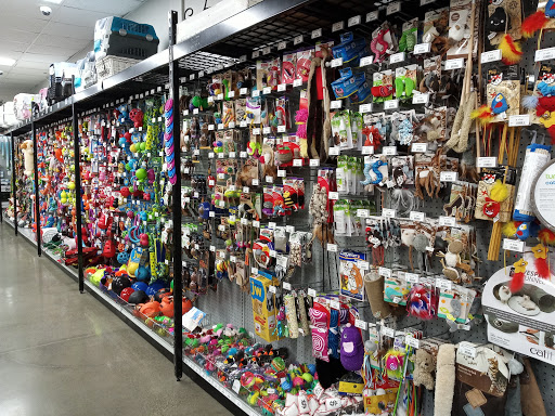 Pet Store «Carters Pet Mart», reviews and photos, 510 N Main St, Manteca, CA 95336, USA