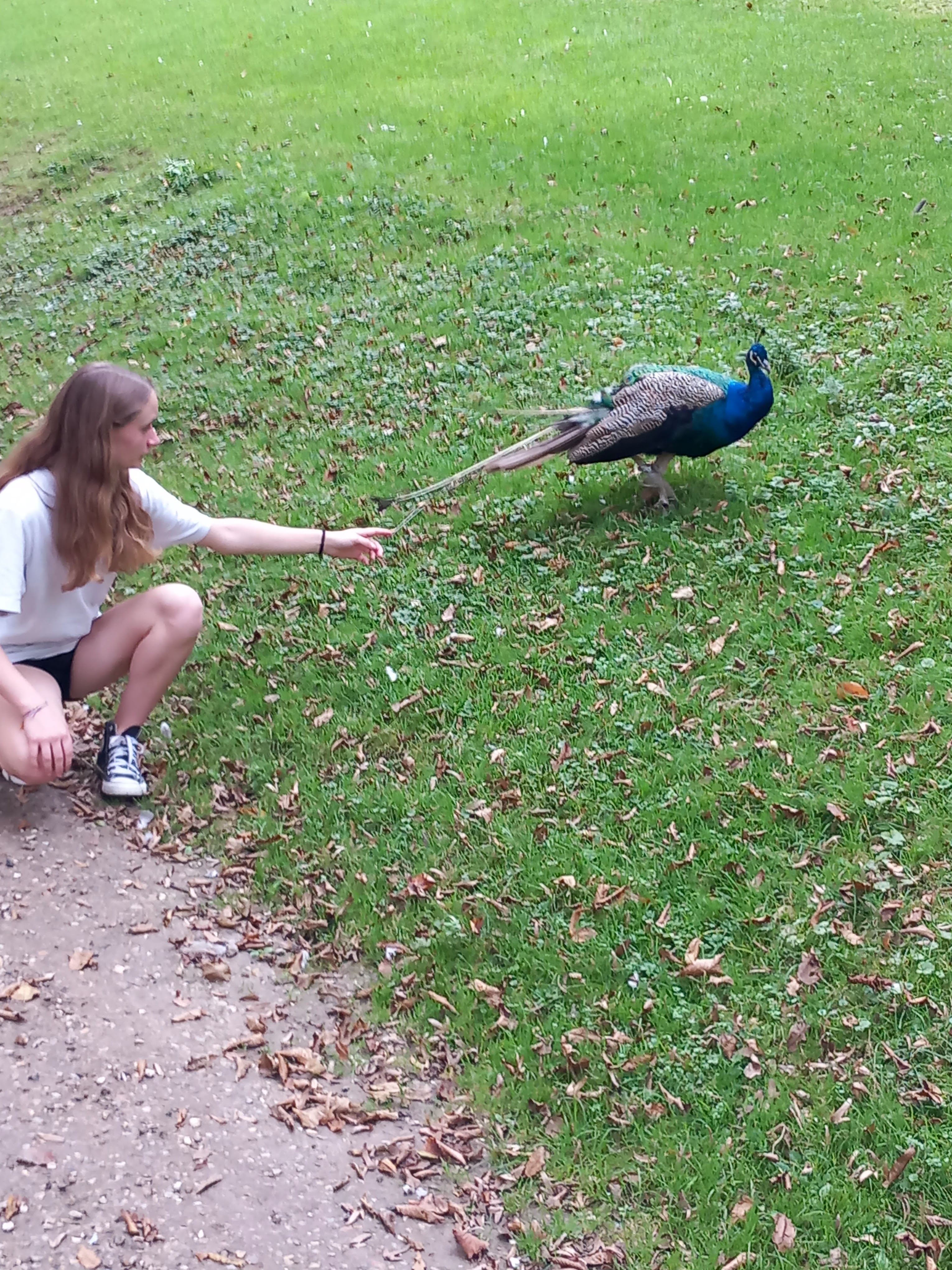 Photo n° 29 de l'avis de Julien.a fait le 11/10/2023 à 18:47