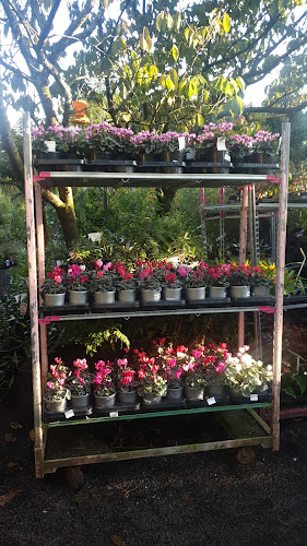 Roger Hunter's Garden Centre - Auckland