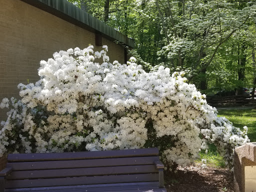 National Park «Guilford Courthouse National Military Park», reviews and photos, 2332 New Garden Rd, Greensboro, NC 27410, USA