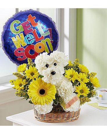 Florist «Oneco Florist», reviews and photos, 5012 15th St E, Bradenton, FL 34203, USA