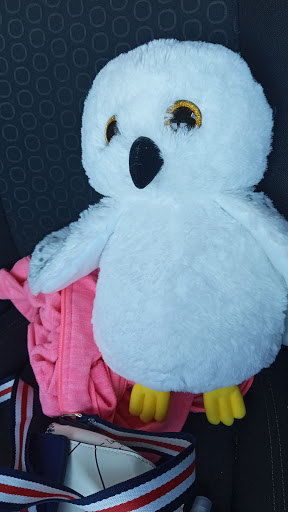 Shopping Mall «Addison Mall», reviews and photos, 2970 W Addison St, Chicago, IL 60618, USA