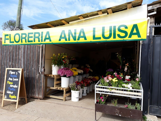Florería Ana Luisa