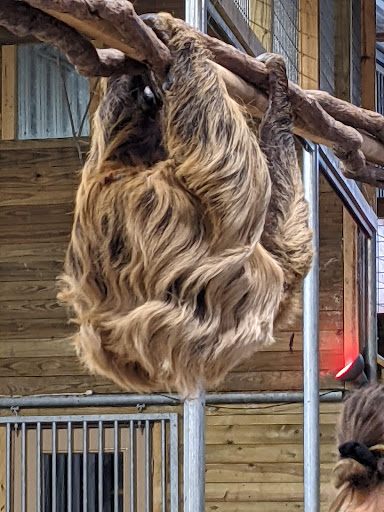 Wildlife Park «The Creature Conservancy», reviews and photos, 4950 Ann Arbor-Saline Rd, Ann Arbor, MI 48103, USA