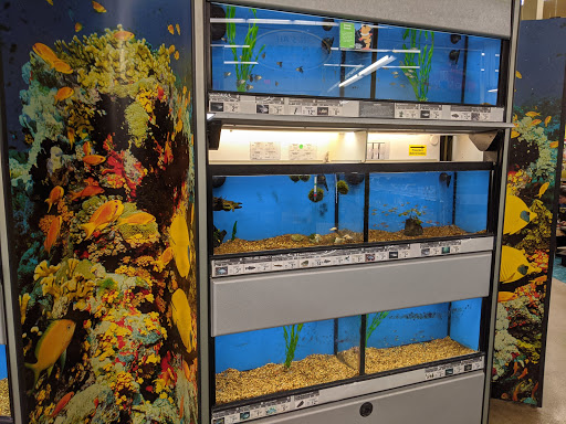 Pet Supply Store «Petco Animal Supplies», reviews and photos, 1704 US Hwy 27 S, Sebring, FL 33870, USA