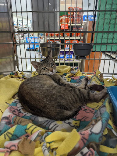 Pet Supply Store «PetSmart», reviews and photos, 13000 Aurora Ave N, Seattle, WA 98133, USA