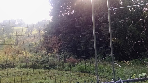 Golf Course «Mt. Lebanon Golf Course», reviews and photos, 1000 Pine Ave, Pittsburgh, PA 15234, USA