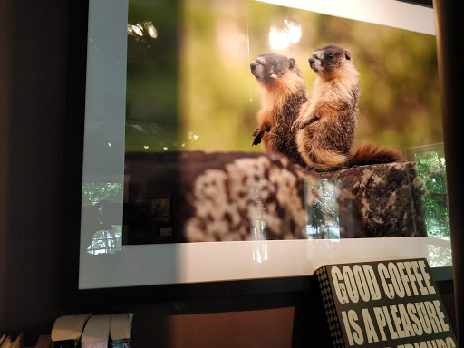 Coffee Shop «Mountain Sage», reviews and photos, 18653 Main St, Groveland, CA 95321, USA