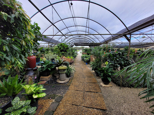 Wholesale Plant Nursery «Galloway Farm Nursery Inc.», reviews and photos, 7790 SW 87th Ave, Miami, FL 33173, USA