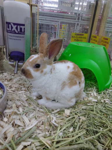 Pet Supply Store «Pet Supermarket», reviews and photos, 1746 E Silver Springs Blvd, Ocala, FL 34470, USA