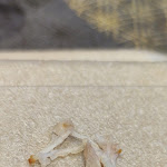 Photo n° 1 de l'avis de Justine.. fait le 02/05/2022 à 18:54 pour Le Safran à Port-Jérôme-sur-Seine