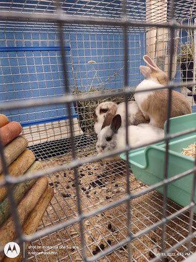 Pet Store «Fins Feathers Paws & Claws», reviews and photos, 436 Main St, Harleysville, PA 19438, USA