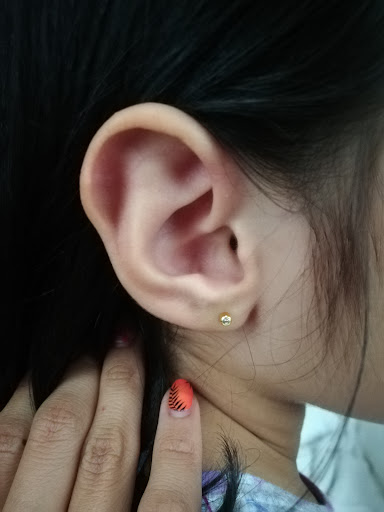 Explore seahawks tattoo ideas, creative tattoo ideas in Chesapeake, available at Finders Keepers Body Piercing