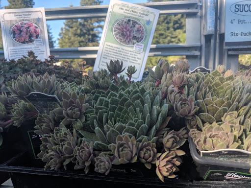 Hardware Store «Sebastopol Hardware Ctr», reviews and photos, 660 Gravenstein Hwy N, Sebastopol, CA 95472, USA