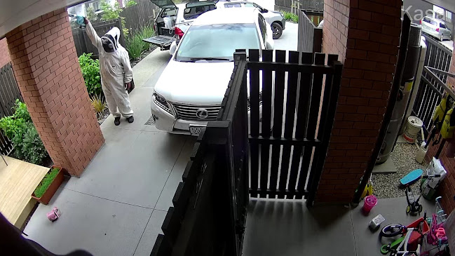 World Class Pest Control