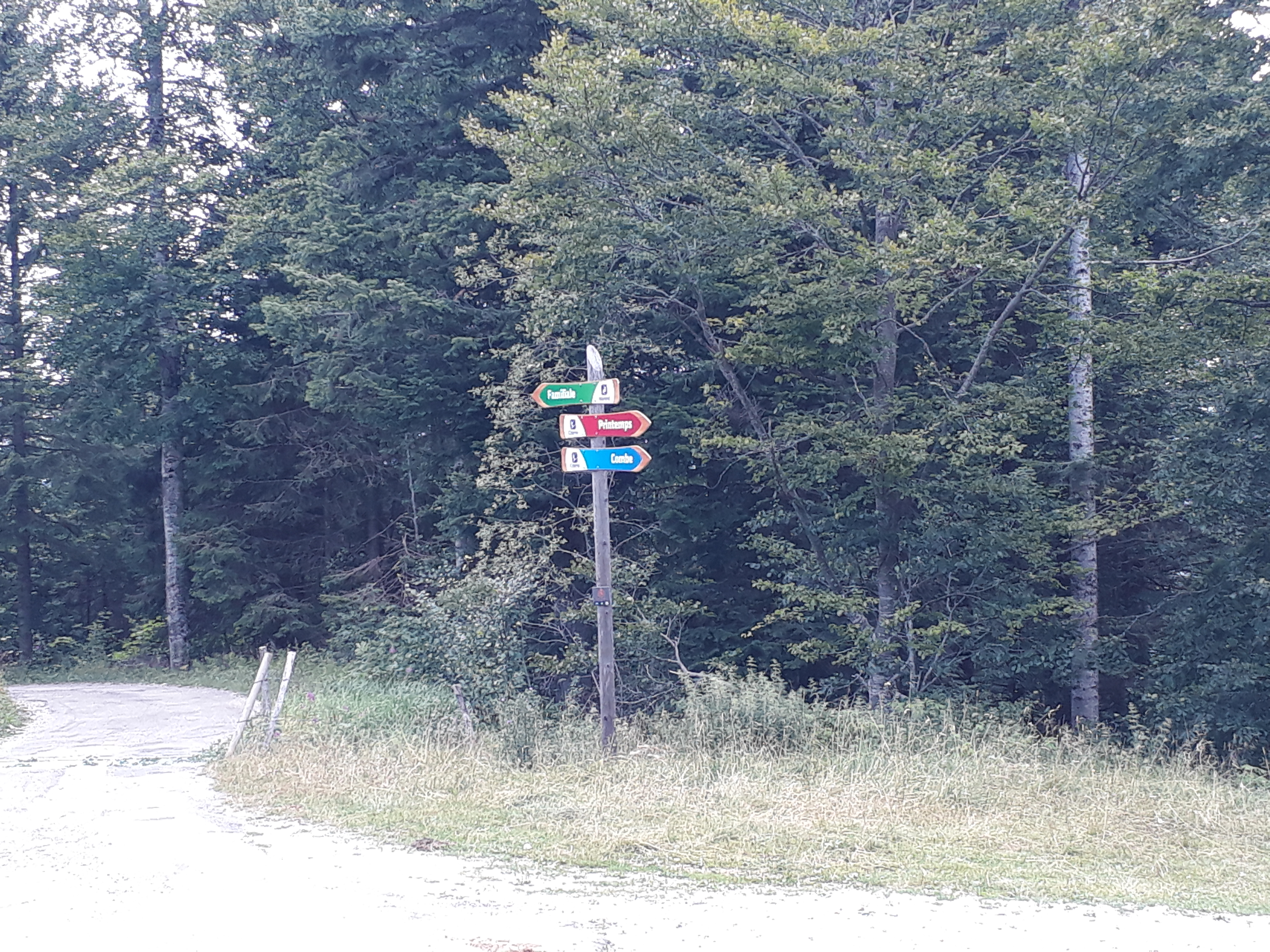 Photo n° 8 de l'avis de Dieter.i fait le 01/08/2019 à 20:23