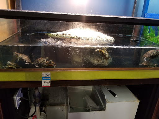 Pet Supply Store «Petco Animal Supplies», reviews and photos, 317 E Trenton Rd, Edinburg, TX 78539, USA