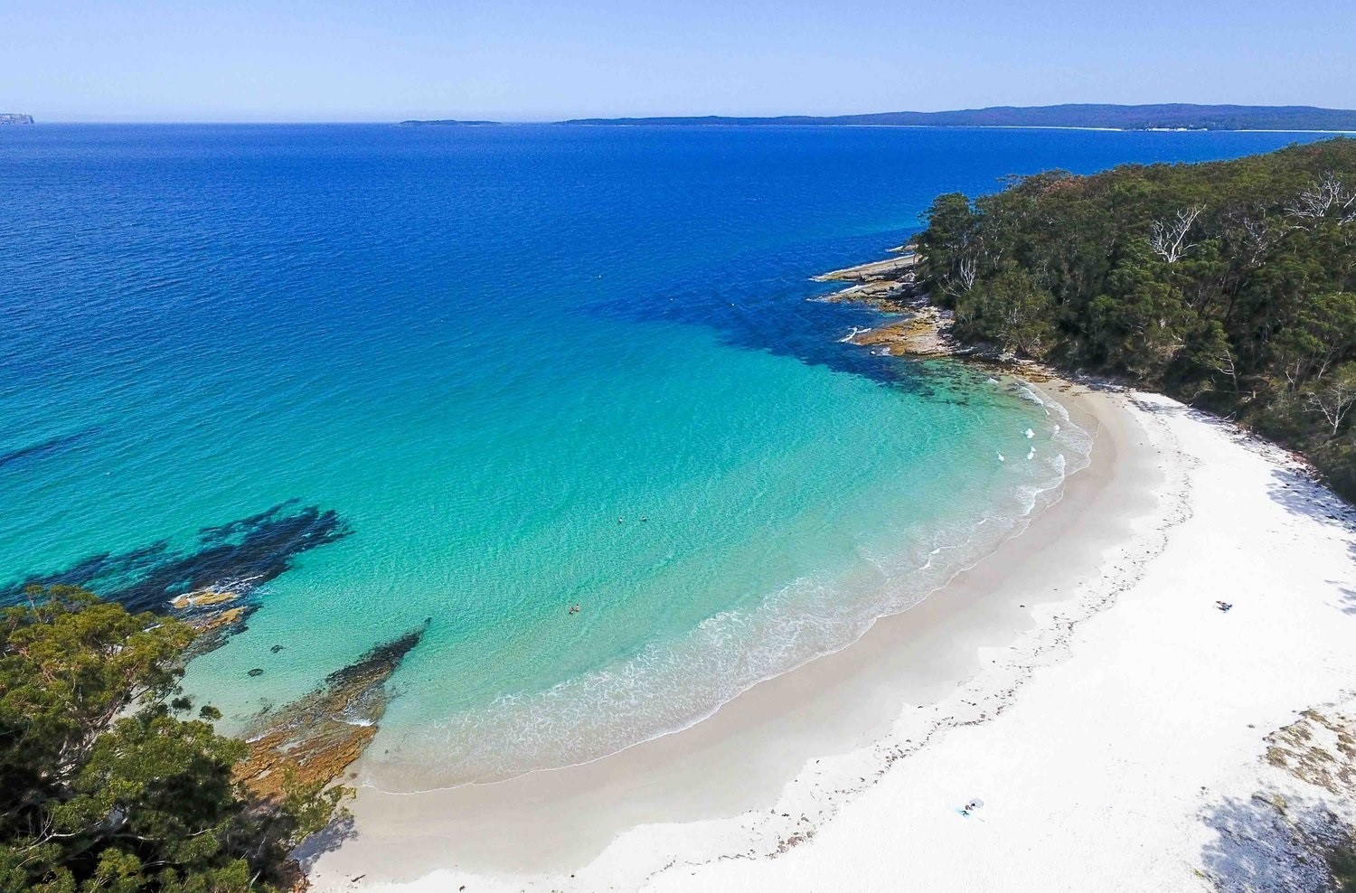 Blenheim Beach photo #8