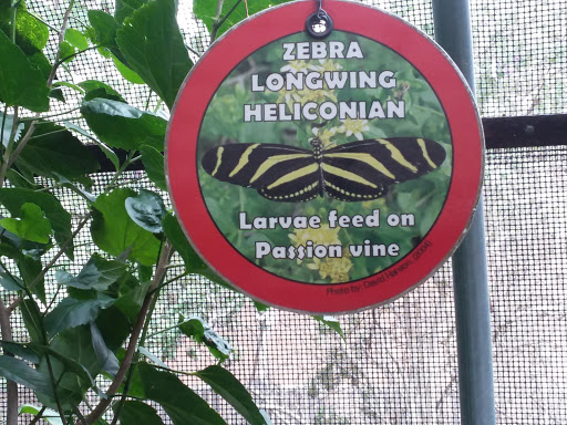 Zoo «Gladys Porter Zoo», reviews and photos, 500 E Ringgold St, Brownsville, TX 78520, USA