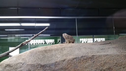 Zoo «Niabi Zoo», reviews and photos, 13010 Niabi Zoo Rd, Coal Valley, IL 61240, USA