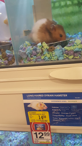 Pet Supply Store «PetSmart», reviews and photos, 1900 W International Speedway Blvd, Daytona Beach, FL 32114, USA