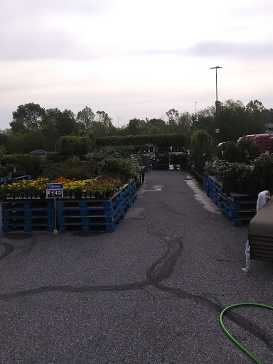 Department Store «Walmart Supercenter», reviews and photos, 809 N 12th St, Murray, KY 42071, USA