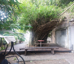 OYO 276 The Resort Chonburi photo