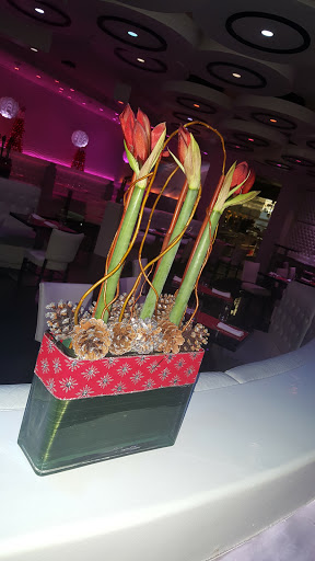 Latin American Restaurant «Silhouette», reviews and photos, 5668 Broadway, Bronx, NY 10463, USA