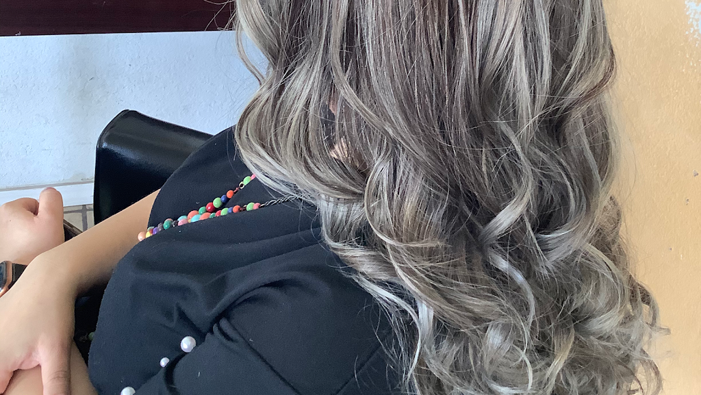 Haircut Palace 88240