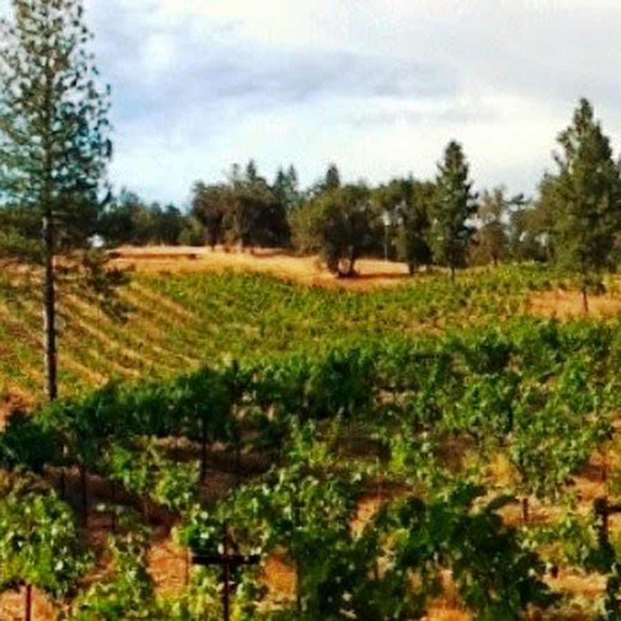 Uphill Vineyards