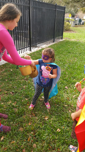 Park «Scotty Cooper Park», reviews and photos, 10849 Carrollwood Dr, Carrollwood, FL 33618, USA