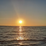 Photo n° 1 de l'avis de Dakota.i fait le 03/08/2022 à 10:46 pour Catamaran Picardie à Le Grau-du-Roi