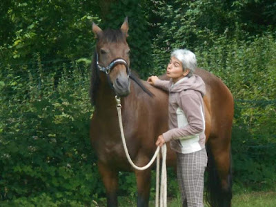 Ecurie Equiplus à Le Bernard