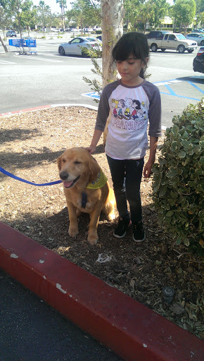 Pet Supply Store «PetSmart», reviews and photos, 13001 Peyton Dr, Chino Hills, CA 91709, USA