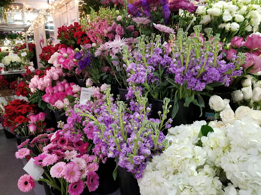 Florist «The Frugal Flower», reviews and photos, 736 Boston Post Rd, Sudbury, MA 01776, USA