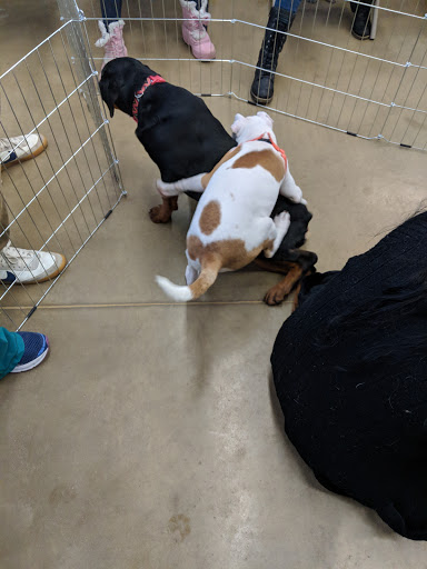 Pet Supply Store «Petco Animal Supplies», reviews and photos, 28400 Dequindre Rd, Warren, MI 48092, USA