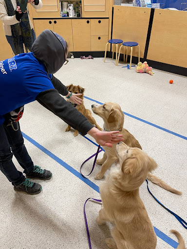 Pet Supply Store «PetSmart», reviews and photos, 4465 US-14, Crystal Lake, IL 60014, USA