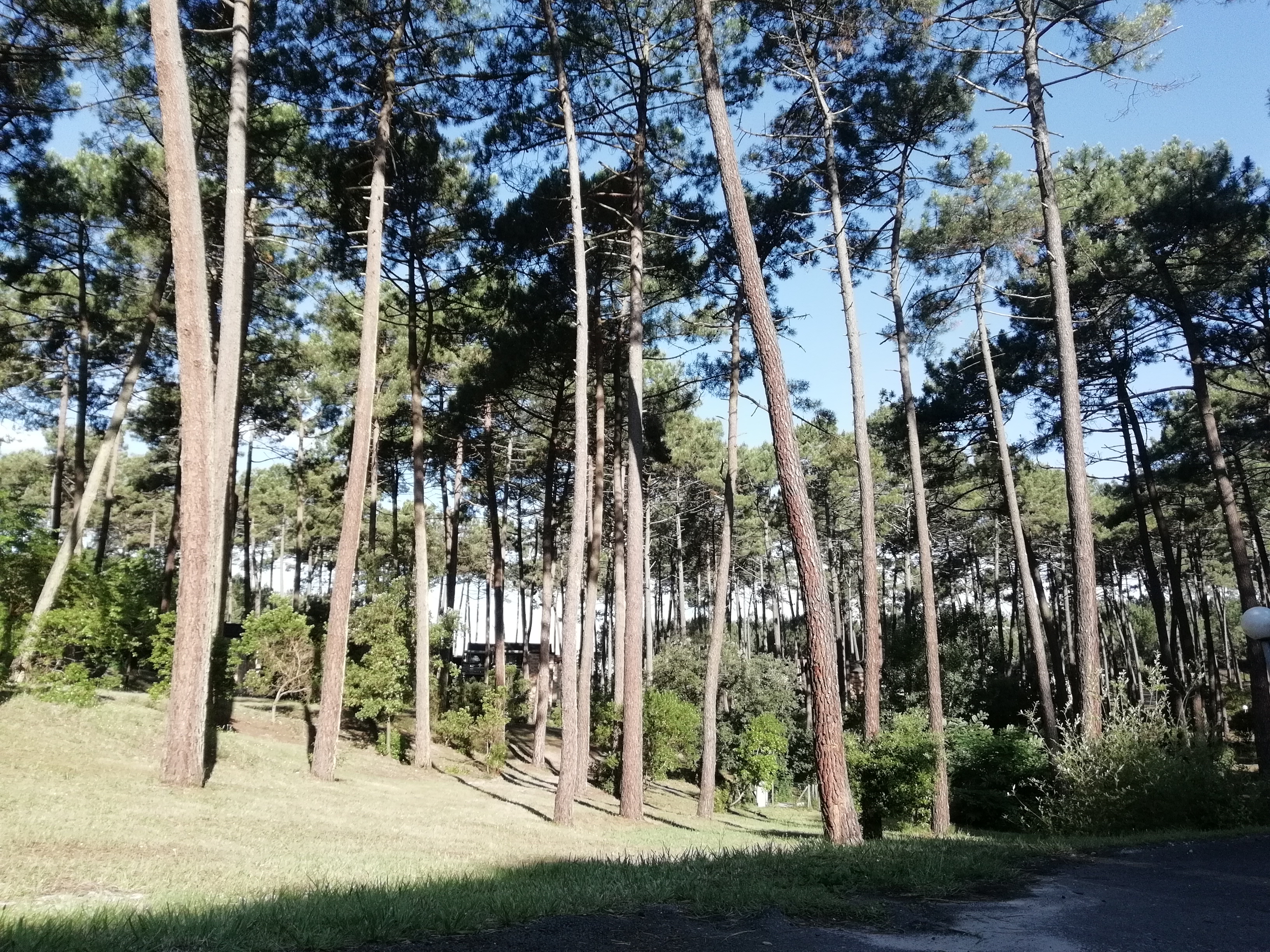 Photo n° 3 de l'avis de Oriana.s fait le 25/06/2018 à 07:36