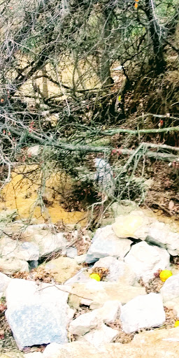 Dog Park «Freedom Dog Park», reviews and photos, 2675 Trophy Park Dr, Roanoke, TX 76262, USA