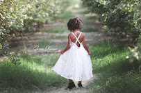 MBF Photography - Photo 7 - Car repair in Las Vegas, NV, Spring Valley