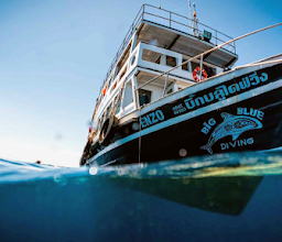 Simple Life Divers photo