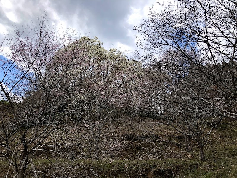 牛滝神社