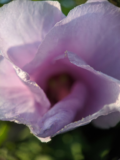 Park «Back Bay Fens», reviews and photos, 100 Park Dr, Boston, MA 02215, USA