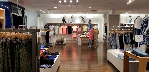 Shopping Mall «Del Monte Shopping Center», reviews and photos, 1410 Del Monte Center, Monterey, CA 93940, USA