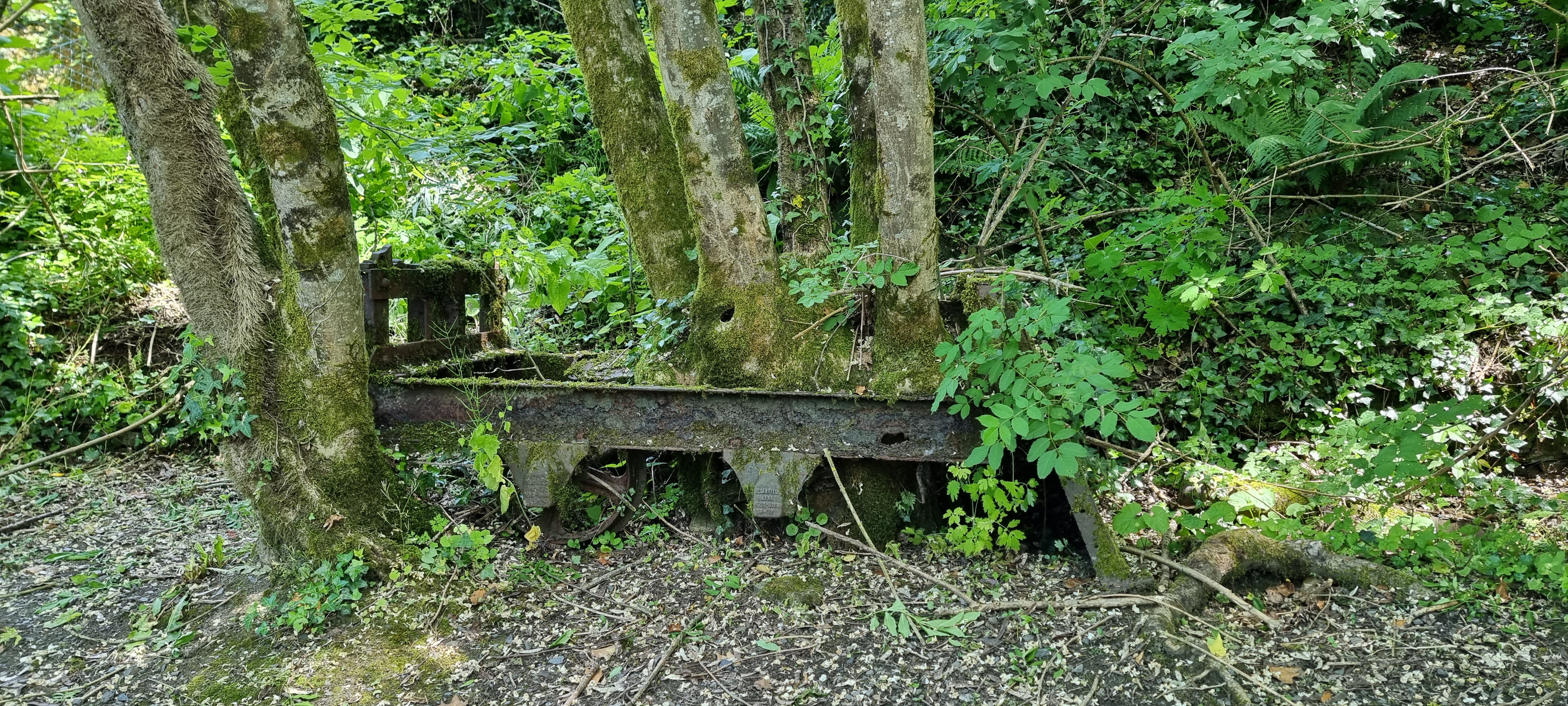 Photo n° 15 de l'avis de lea.a fait le 20/05/2023 à 20:43