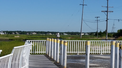 Golf Course «Ocean County Golf Course at Atlantis», reviews and photos, 261 Country Club Blvd, Tuckerton, NJ 08087, USA