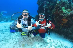 MY DEEP LIFE Cancun Scuba diving Cancun Dive Shop TWO . PADI DIVE RESORT # 29324 image